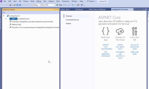 Visual Studio Endpoints Explorer